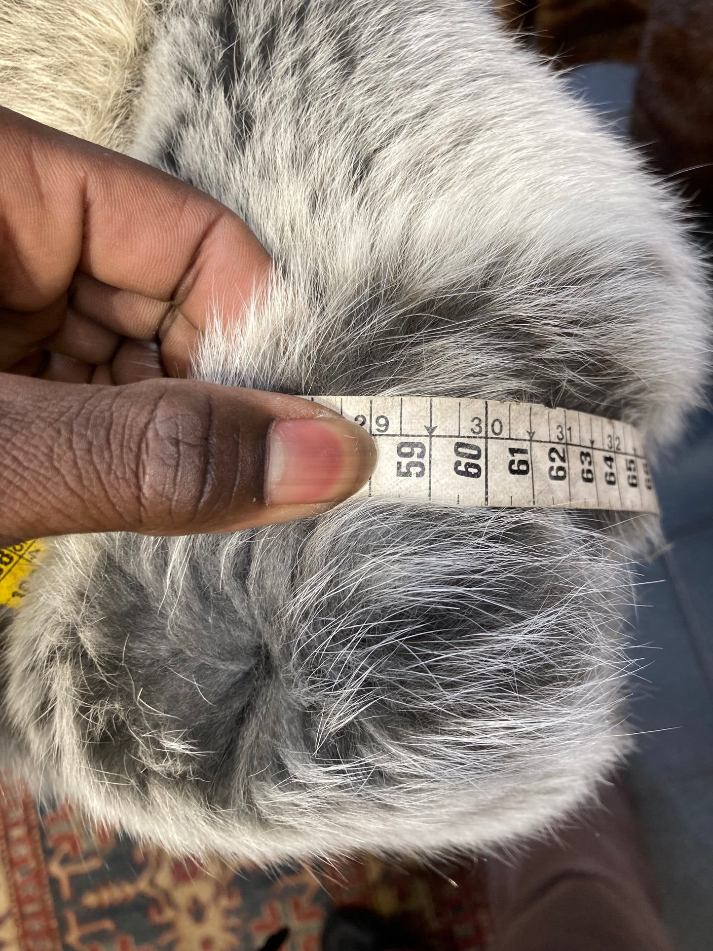 Manteau en fourrure de Renard 🦊