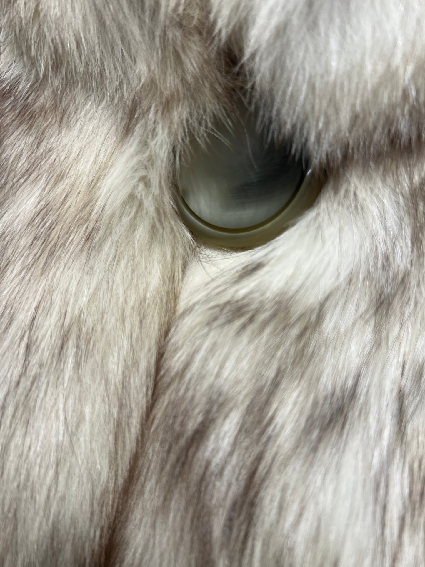 Manteau en renard 2653