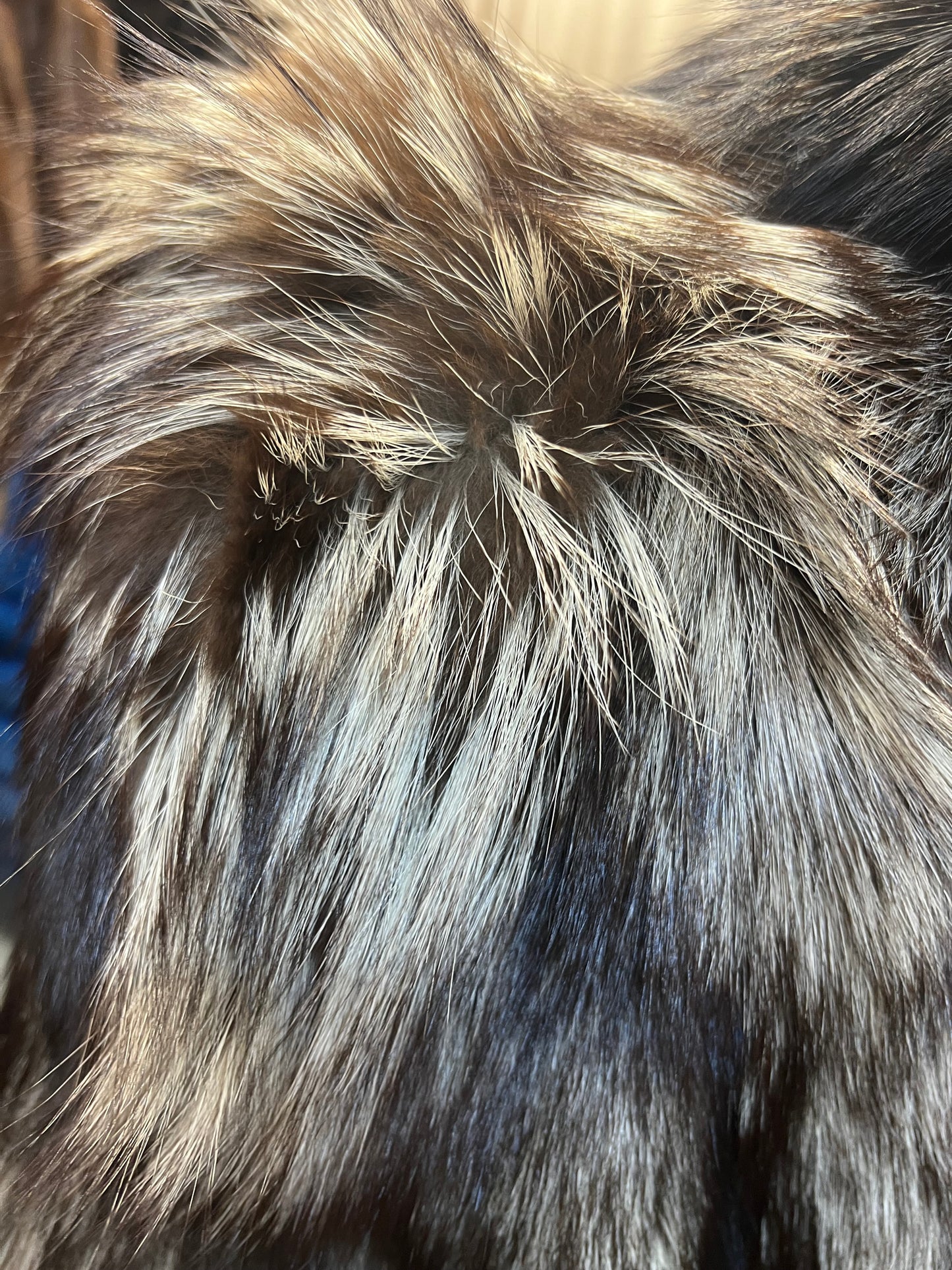 Renard argenté 2690