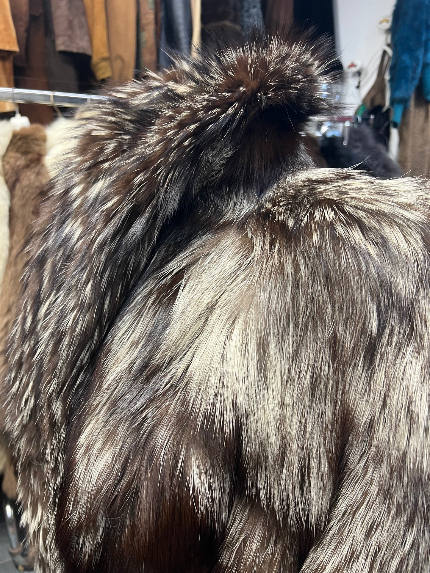 Renard argenté 2690