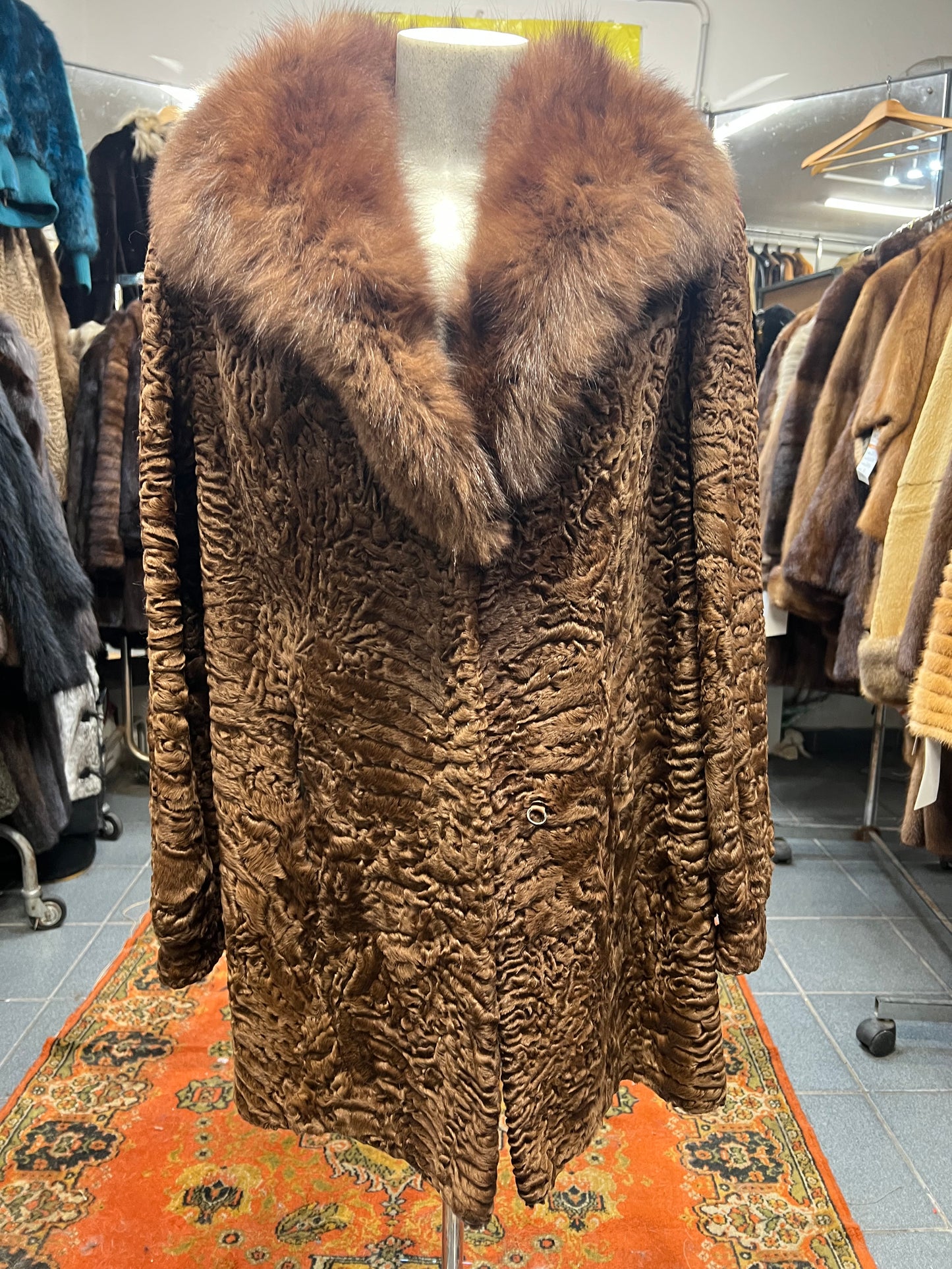 Persan du col en fourrure de vison