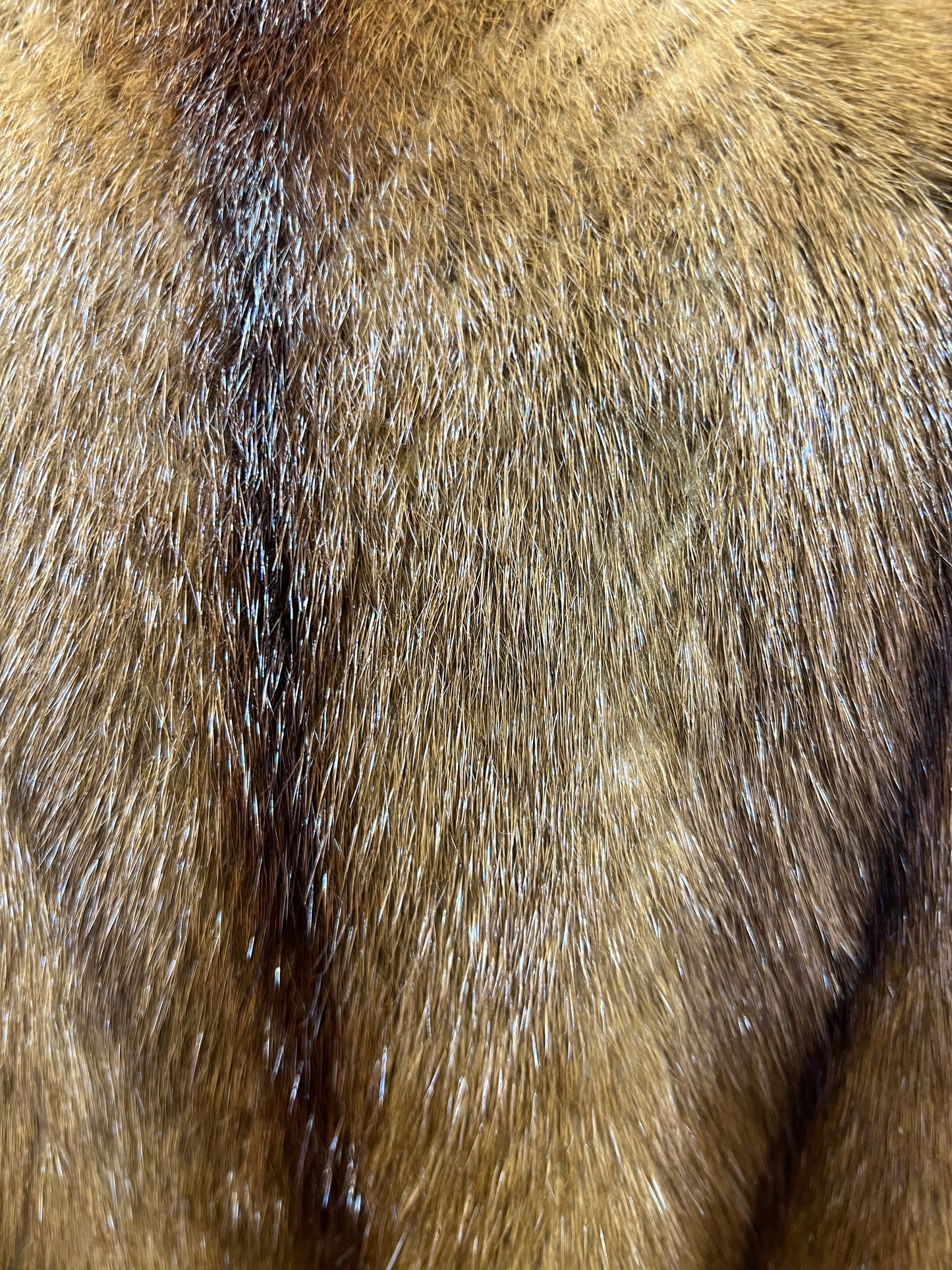 Manteau en fourrure Vison taille:L