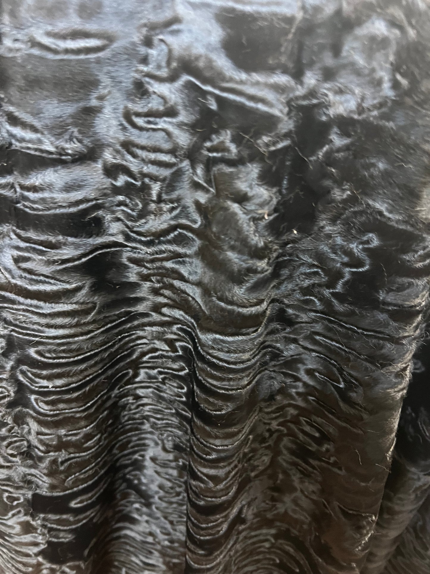 Manteau en fourrure astrakan ( Persan)