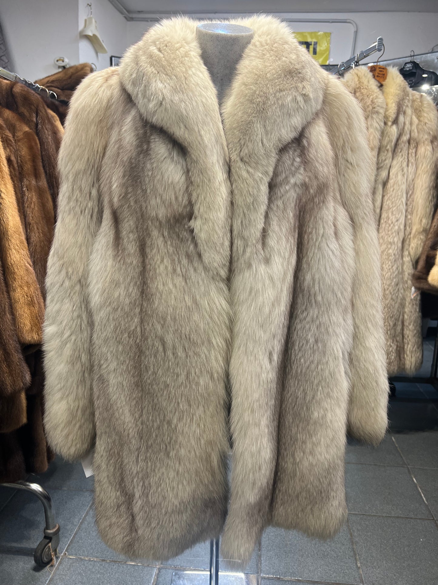 Renard Groeland 2609