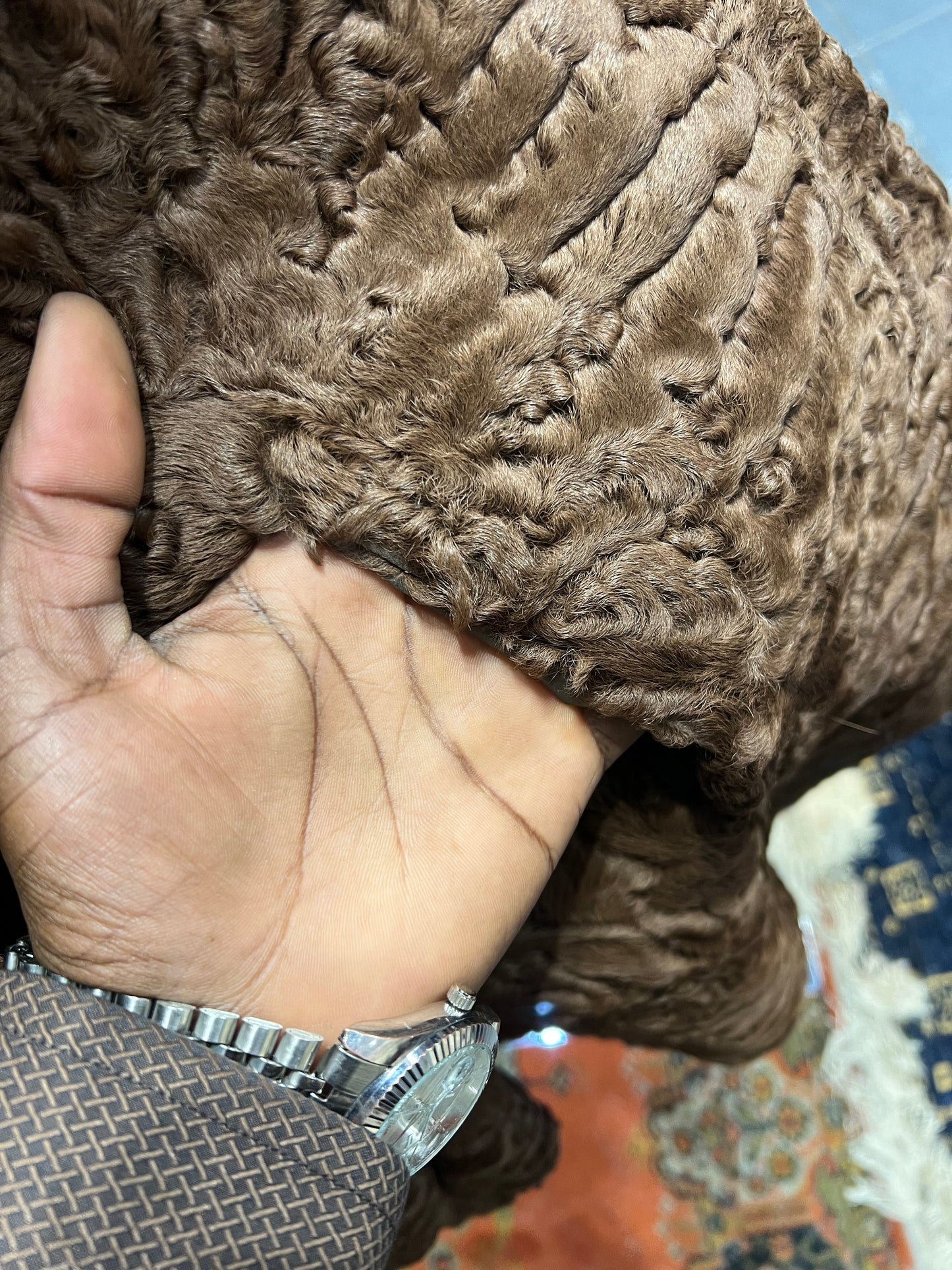 Persan du col en fourrure de vison