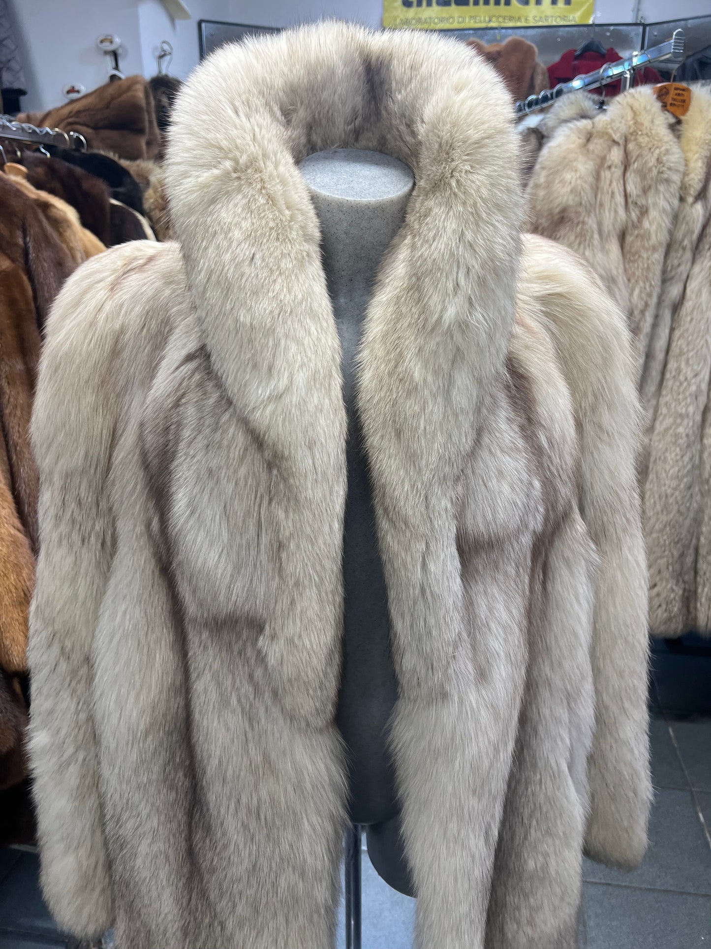 Renard Groeland 2609