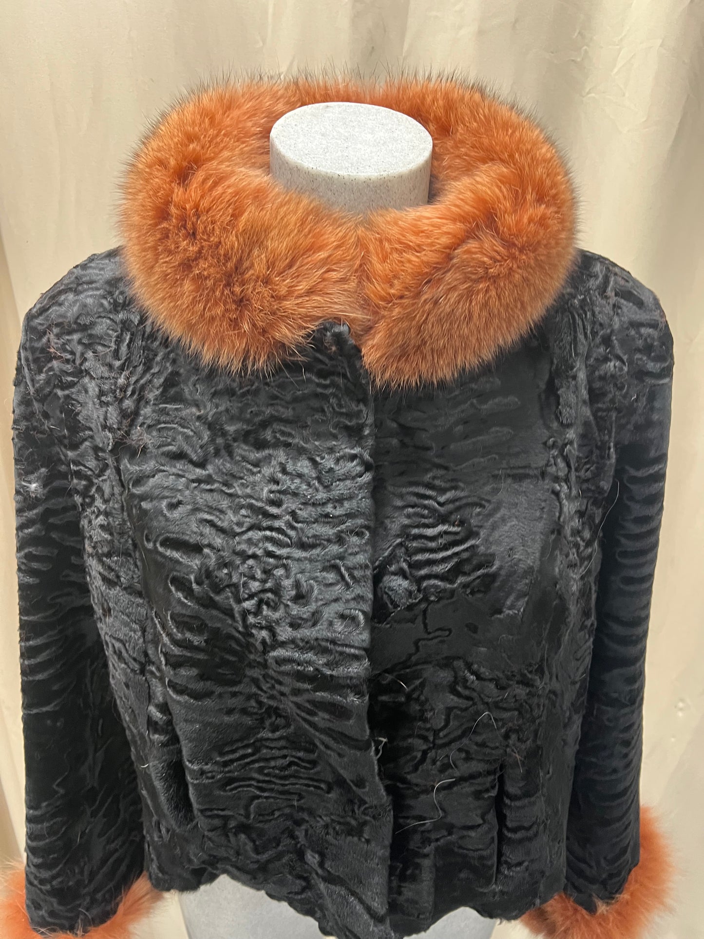 Cape Persan et Renard rose sur le col et le poignet