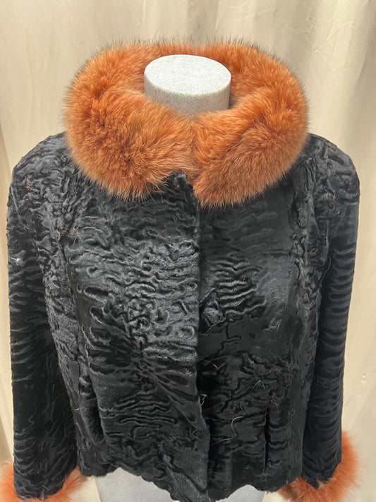 Cape Persan et Renard rose sur le col et le poignet