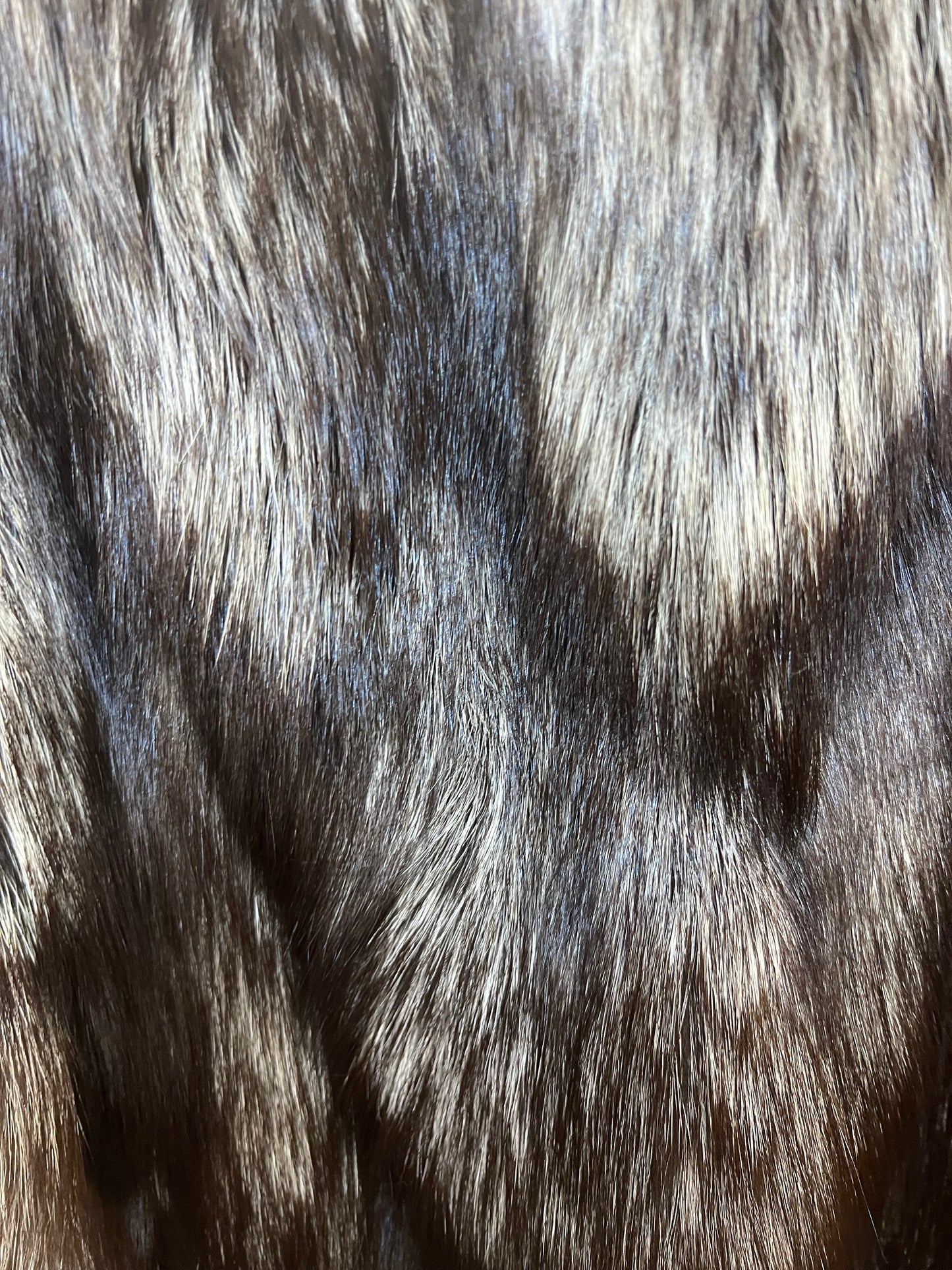 Renard argenté 2690